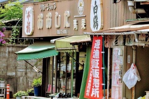 島田川あゆ-28