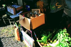 サンカク市場20171123_もりもり農園