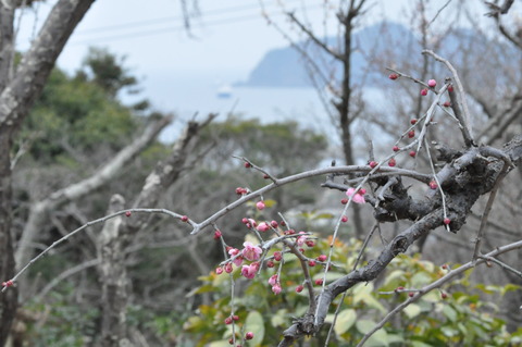 節分_冠天満宮-14