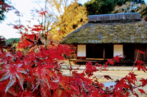 伊藤公記念公園_013