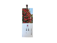 花の花詩しおり