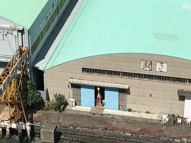 きりん