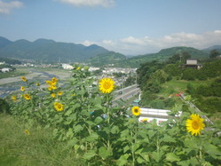 CIMG3360