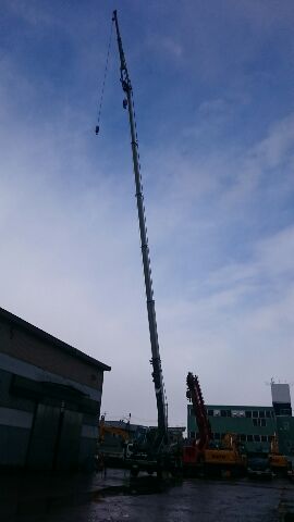 �ʤ����������ȡ��֥����̿� (12)