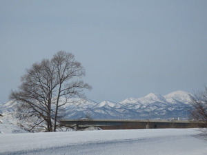 ����졼�󡡥֥����̿� (20)