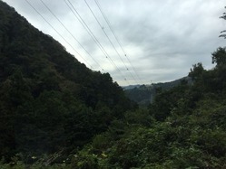 IMG_5123