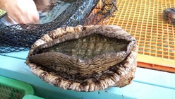 20130817_140457_resized