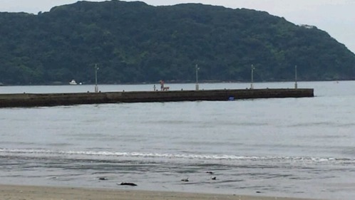 20150813_105003