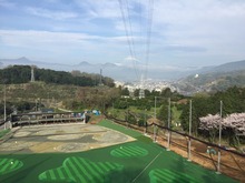 IMG_3154