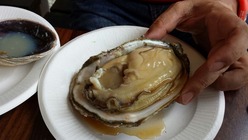 20130817_134045_resized