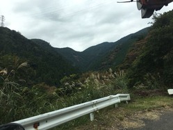 IMG_5125