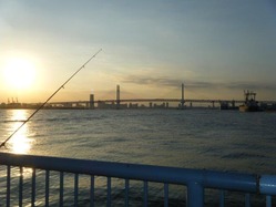 DSCF6037