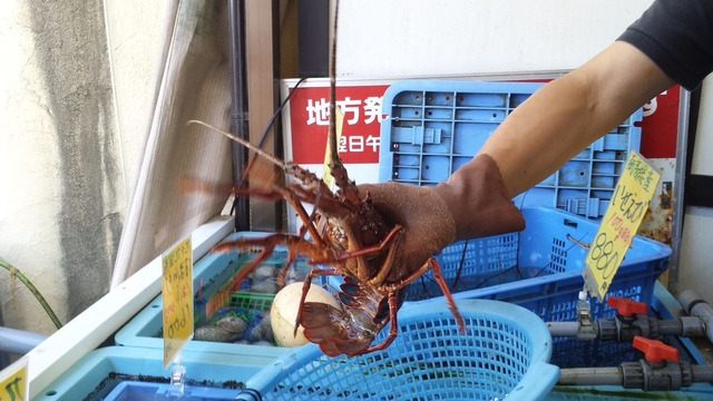 20150822_121616