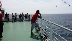 20130817_130030_resized
