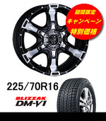 ¥ô¥¡¥ó¥Ñ¥¤¥¢DM-V1ÆÃ²Á