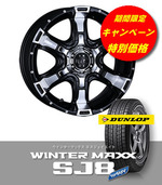 ¥ô¥¡¥ó¥Ñ¥¤¥¢SJ-8ÆÃ²Á