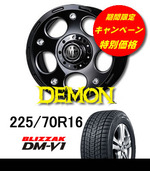 ¥Ç¡¼¥â¥óDM-V1ÆÃ²Á