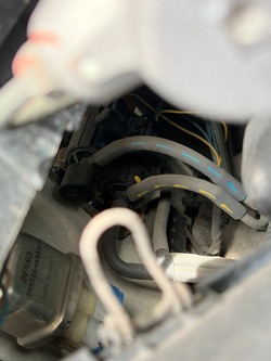 s-IMG_9002