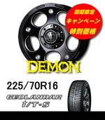 ¥Ç¡¼¥â¥óIT-SÆÃ²Á