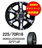 ¥ô¥¡¥ó¥Ñ¥¤¥¢¥¸¥ª¥é¥ó¥À¡¼ÆÃ²Á