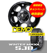 ¥Ç¡¼¥â¥óSJ-8ÆÃ²Á