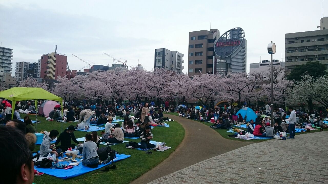 桜 錦糸公園桜まつりに行ってきました Unlimited Rulebook