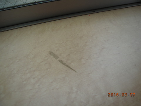 DSCN6090