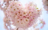 0fullmoon pink-flower-heart-for-spring-c