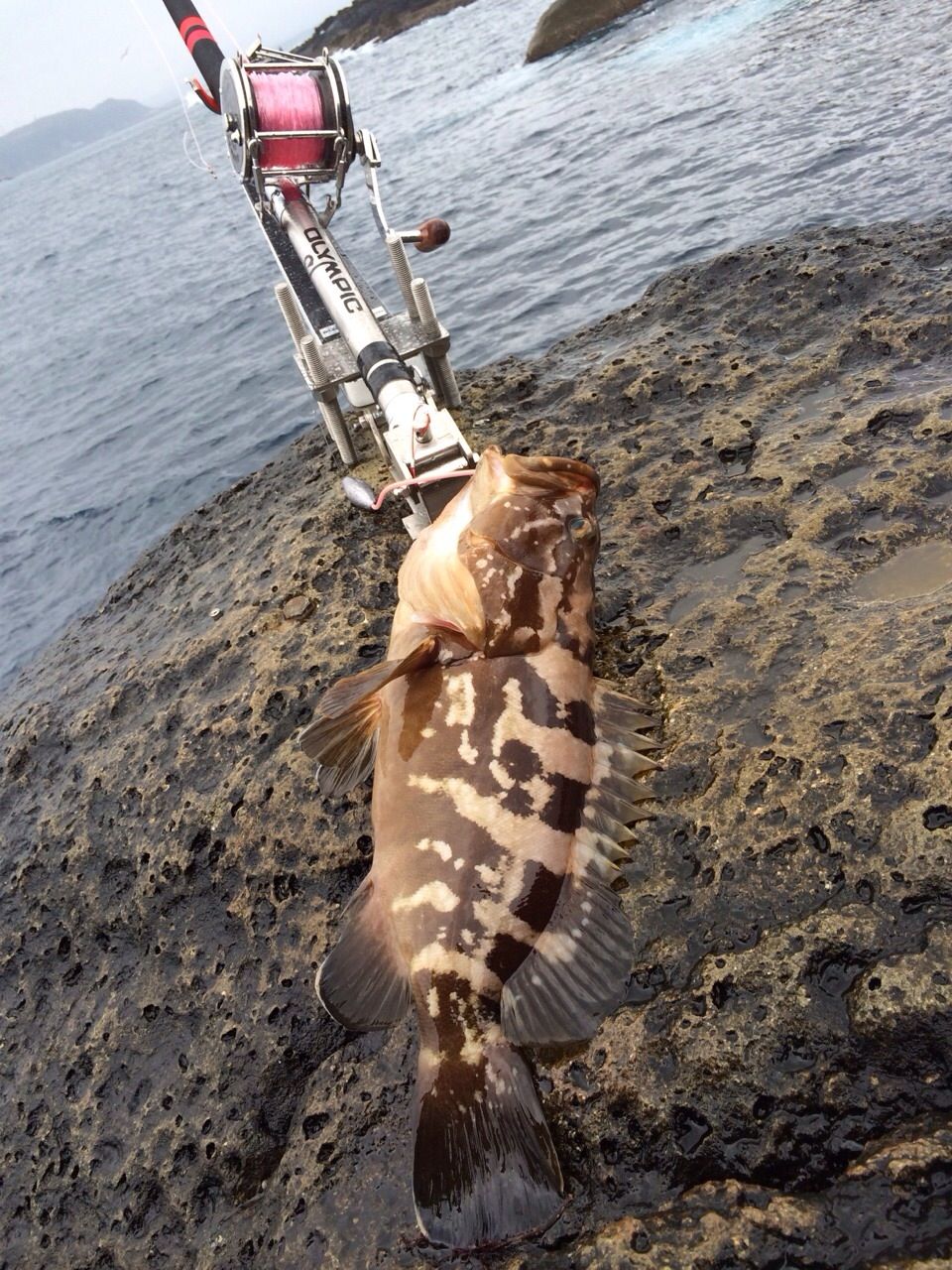 がまくえインパルス100号復活 今なら仕上りが早いです Love Fish 日記