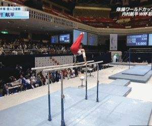 2158 大会レポ 11 11 27 11体操ワールドカップ東京 大会レポ 平行棒 鉄棒 優勝インタビュー 表彰式 ヒカル こころのブログ 内村航平history 2158 大会レポ 11 11 27 11体操ワールドカップ東京 大会レポ 平行棒 鉄棒 優勝インタビュー 表彰式 ヒカル こころのブログ 内村航平history
