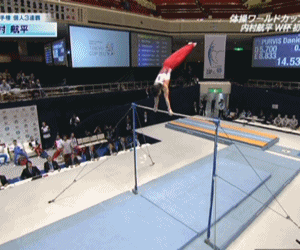 2158 大会レポ 11 11 27 11体操ワールドカップ東京 大会レポ 平行棒 鉄棒 優勝インタビュー 表彰式 ヒカル こころのブログ 内村航平history 2158 大会レポ 11 11 27 11体操ワールドカップ東京 大会レポ 平行棒 鉄棒 優勝インタビュー 表彰式 ヒカル こころのブログ 内村航平history