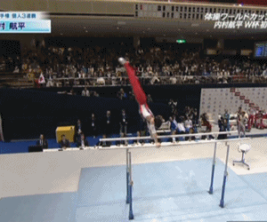 2158 大会レポ 11 11 27 11体操ワールドカップ東京 大会レポ 平行棒 鉄棒 優勝インタビュー 表彰式 ヒカル こころのブログ 内村航平history 2158 大会レポ 11 11 27 11体操ワールドカップ東京 大会レポ 平行棒 鉄棒 優勝インタビュー 表彰式 ヒカル こころのブログ 内村航平history