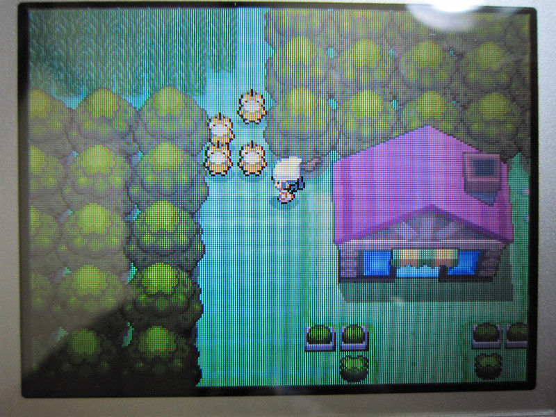 Dppt はてしなくしつれい ハイパーメンマタイム