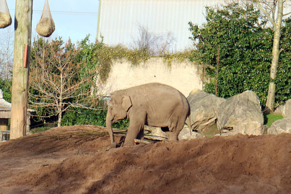 200103b
