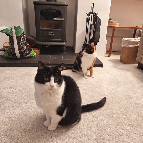 260411