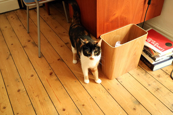 200624b