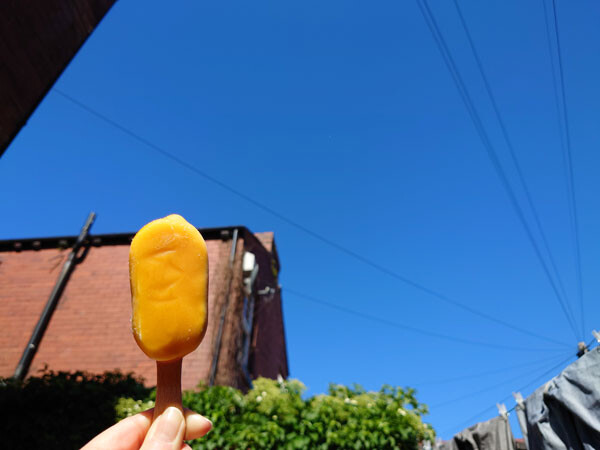 260524