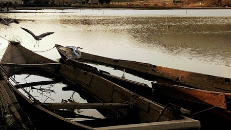 CC573833-ACE5-4820-B4A7-3BA0457A5A90