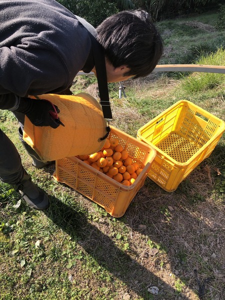 E773D5C4-5C57-436C-8E70-93B41420948E