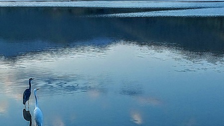 606F4EF3-7489-4A0B-A437-56BE011550D7