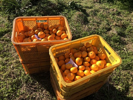 36FF4766-8911-4A64-B876-7C0C1F7B3031