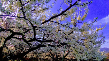 DB3146F5-F13E-4EBB-8250-00BBF0DB457F