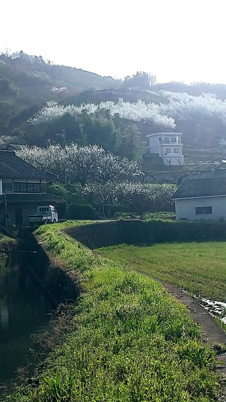 6E1977E9-D64B-4471-A002-38AE61C43304