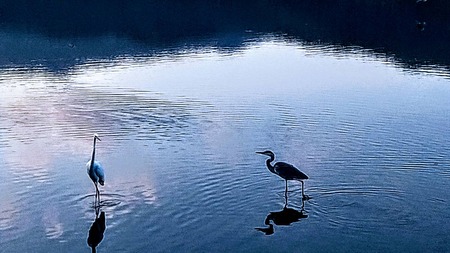 E5417B6A-4BDC-4185-869E-474CE06DB5E0