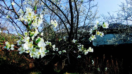 FF9BEBD7-18AD-42A4-8B9B-22472AE73D76