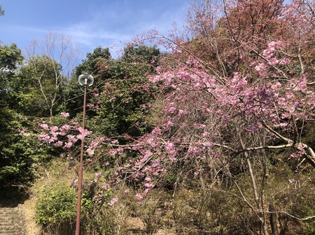 12C72E13-AF2F-4649-BA6F-1B2B7E467DD7