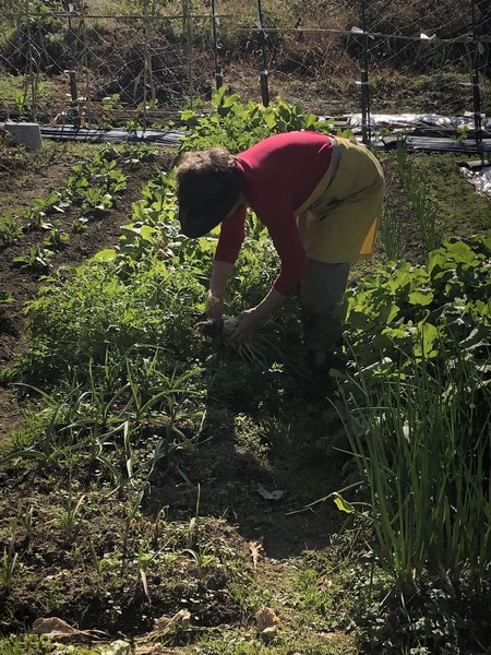 1872CBC2-2B3D-4C58-B231-2E926093AC07