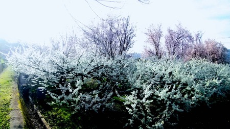 FBB85849-84AF-4C06-AD24-0A84646CFEE5