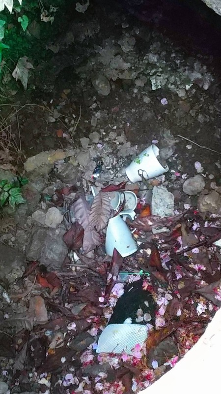 89889E94-4BCA-4E44-B858-9A3FE8B66C61