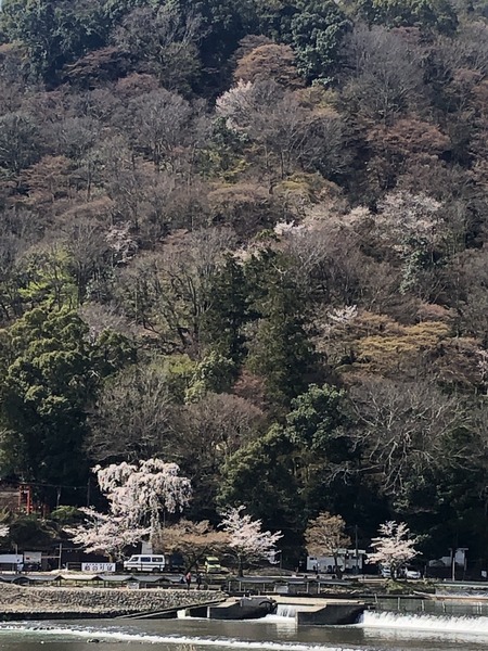 C264DBE2-8D76-4EAB-BEB9-986EA192F2AA